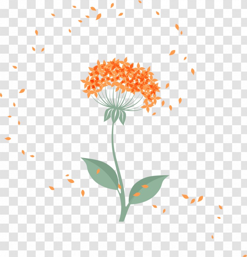 Flower Petal Floral Design Euclidean Vector - Cartoon Dandelion Transparent PNG