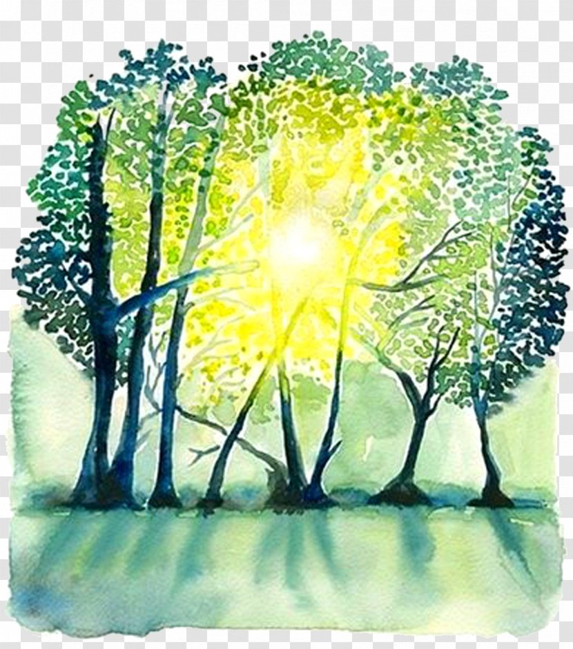Paper Watercolor Painting Landscape Painter - Book Color Forest Sunshine Transparent PNG