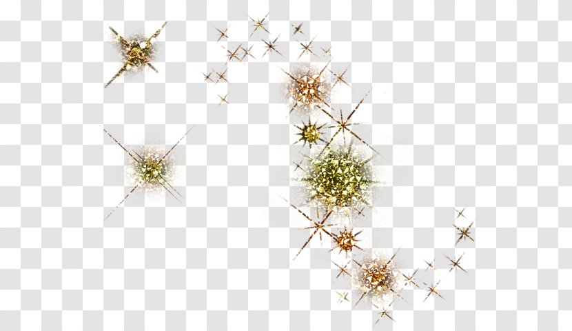 Flowering Plant Line - Class Transparent PNG