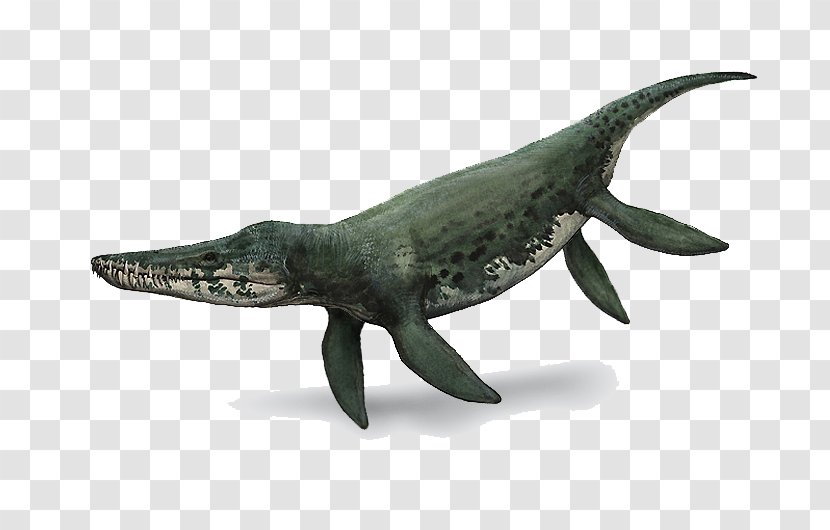 Dinosaur Kronosaurus Albian Velociraptor Dilophosaurus - Sculpture Transparent PNG