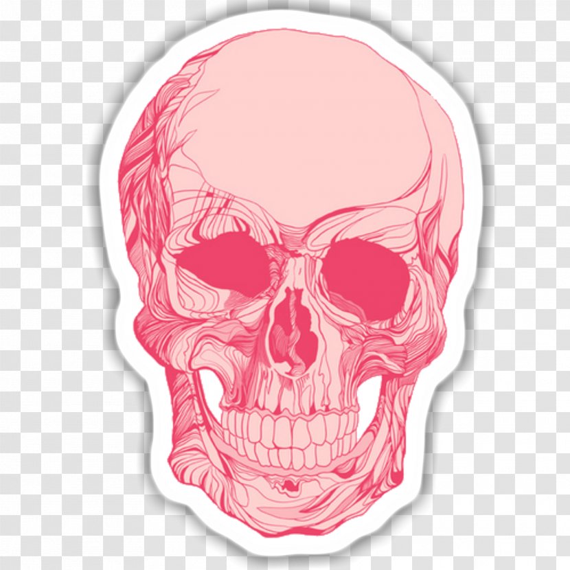 Skull Calavera Clip Art Skeleton - Drawing - Decals Transparent PNG