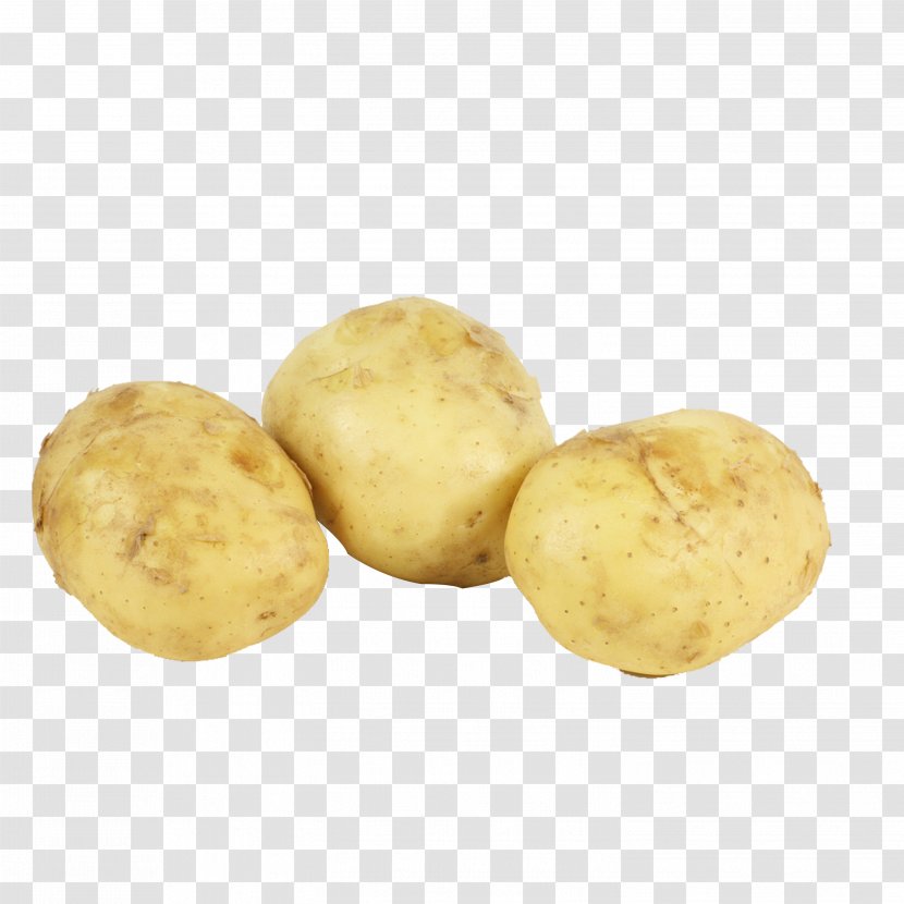 Russet Burbank Yukon Gold Potato Irish Candy Varieties Vegetable - Wholesale Transparent PNG