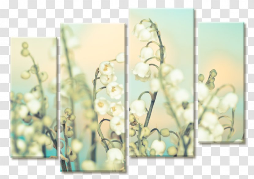 Lily Of The Valley Flower Lilium Musk Perfume Transparent PNG
