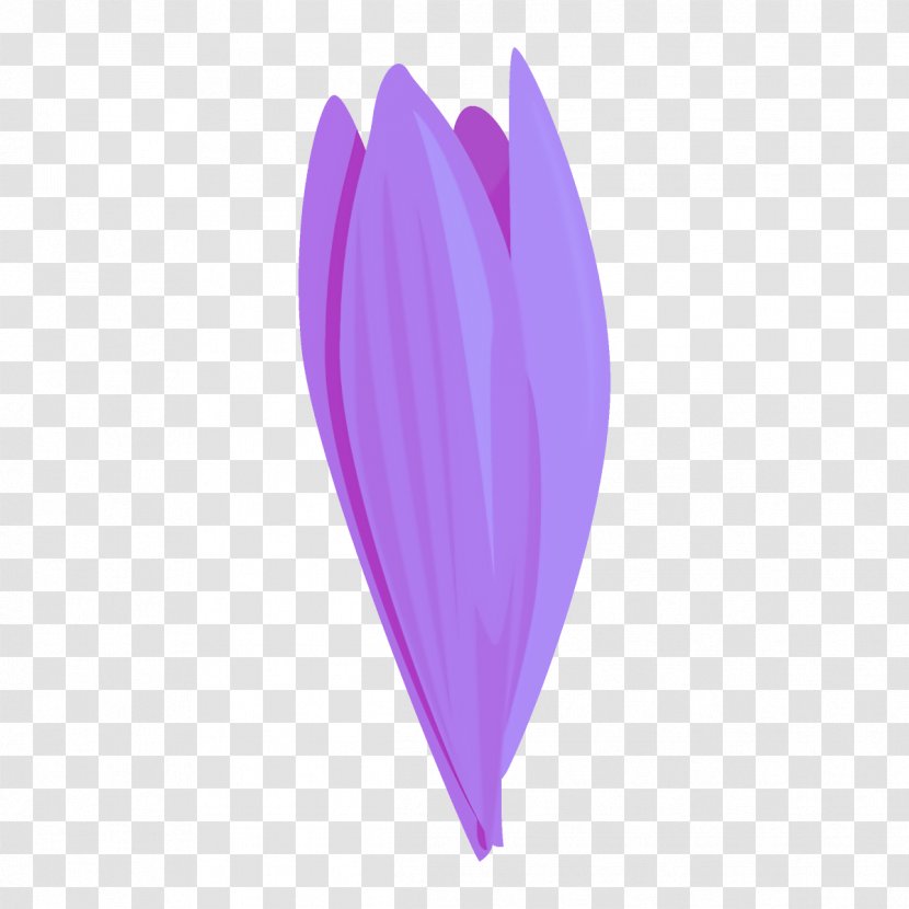 Feather - Lilac - Magenta Crocus Transparent PNG