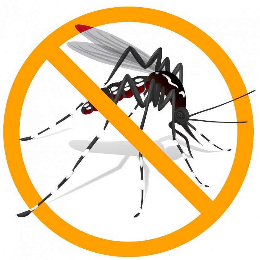 Yellow Fever Mosquito Aedes Albopictus Zika Virus Clip Art Transparent PNG