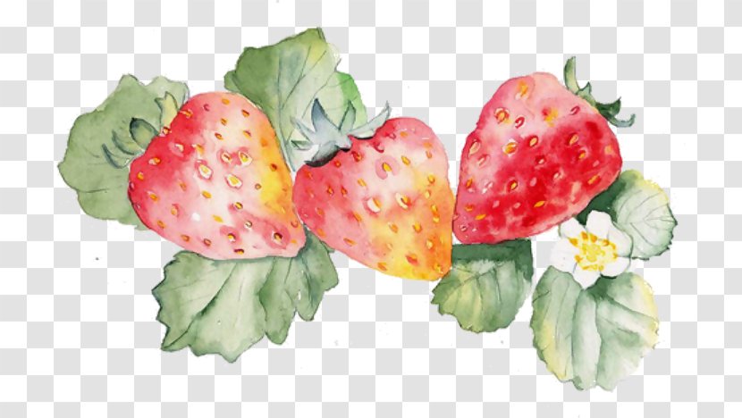 Watercolor Painting Design Image Art Graphics - Natural Foods - Strawberry Plant Transparent PNG
