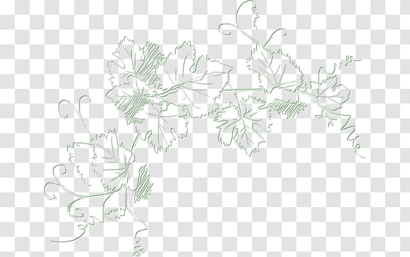 Floral Design Visual Arts Sketch - Leaf - Croquis Transparent PNG