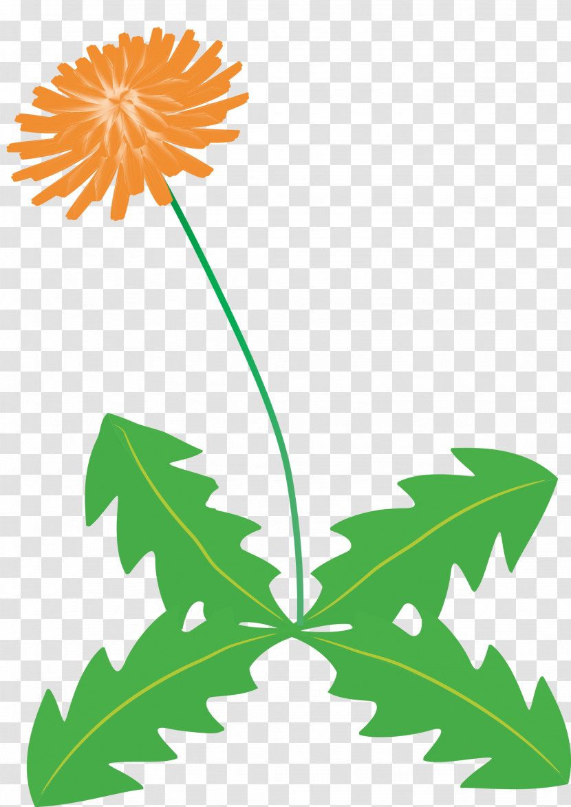 Dandelion Flower Transparent PNG