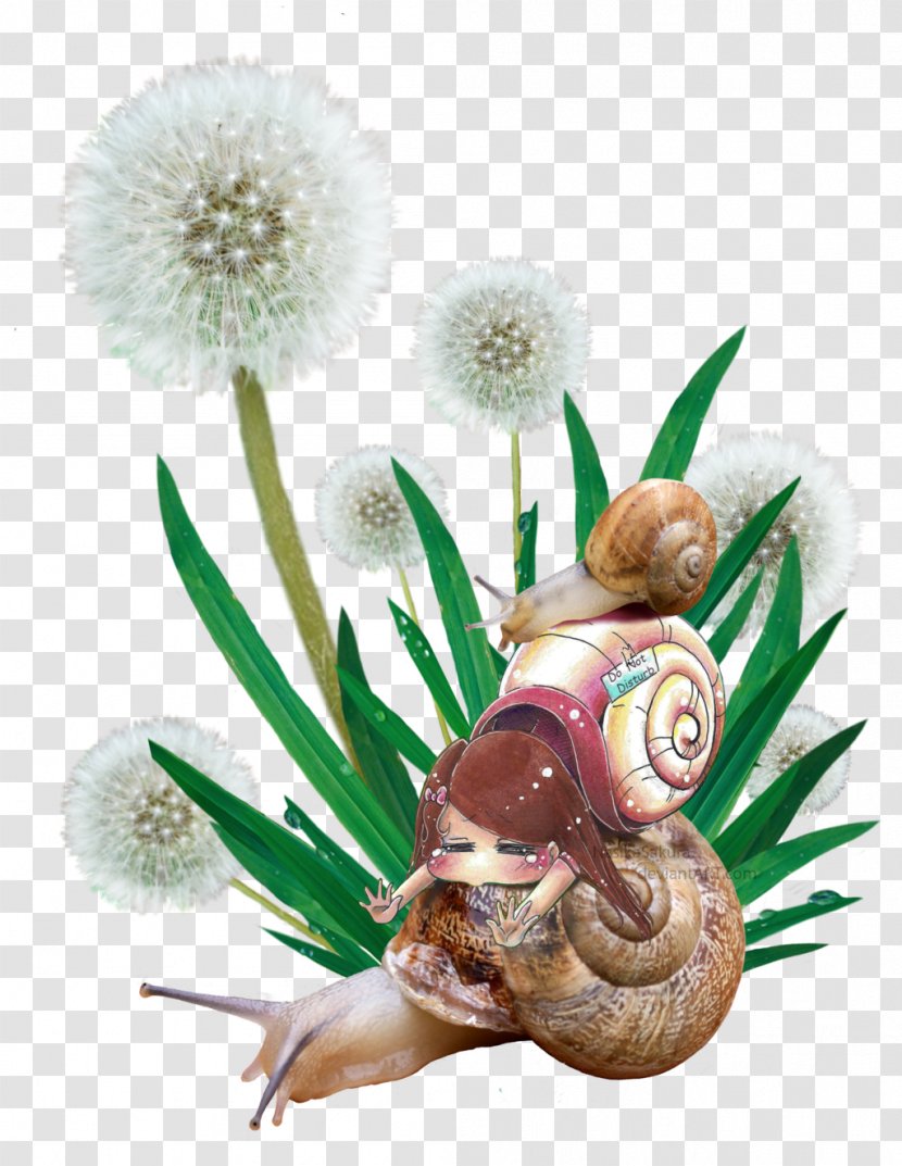 Artist Totem Pole DeviantArt Work Of Art - Plant - Snail Transparent PNG