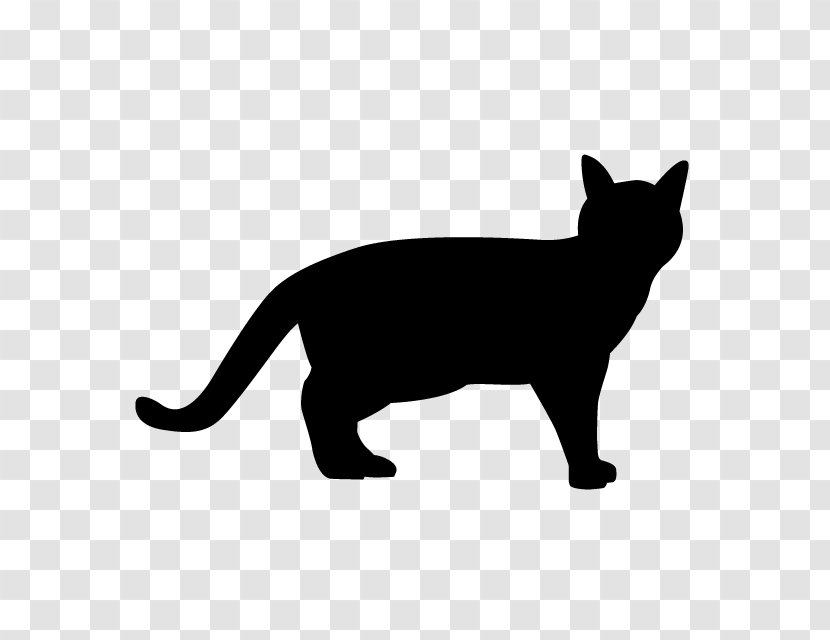 Ferret Cat Panther - Tail Transparent PNG