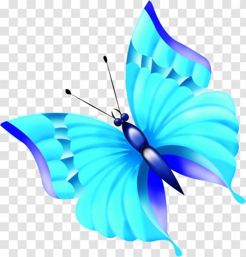Butterfly Paper Insect Clip Art - Wing Transparent PNG