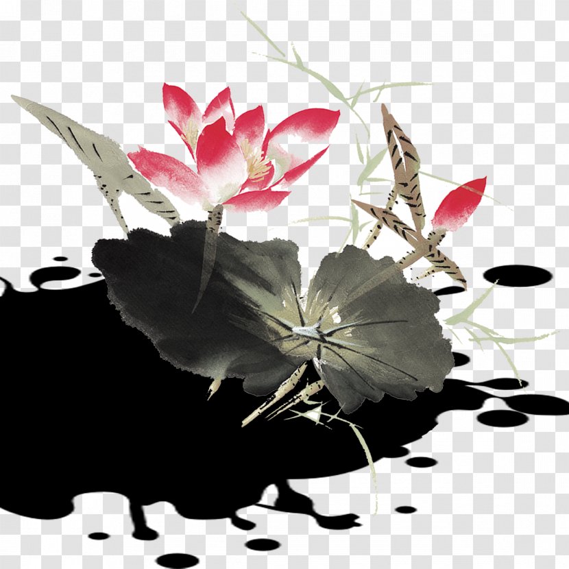 Ink Splash - Wind Lotus Transparent PNG