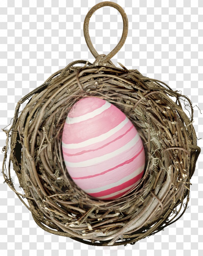 Bird Nest Egg - Pink Transparent PNG