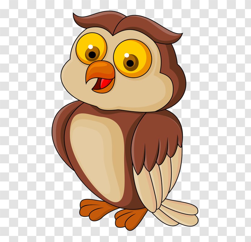 Cartoon Drawing Royalty-free - Bird - Mineralvandsfabrikken Frem Transparent PNG