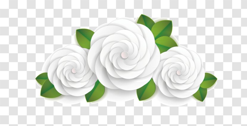 Download Euclidean Vector - Rose - White Peony Transparent PNG