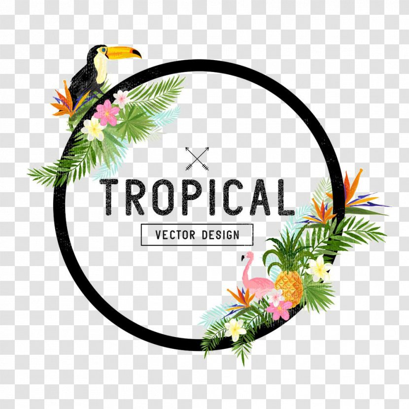 Drawing Stock Illustration - Tropics - Round Parrot Floral Borders Transparent PNG