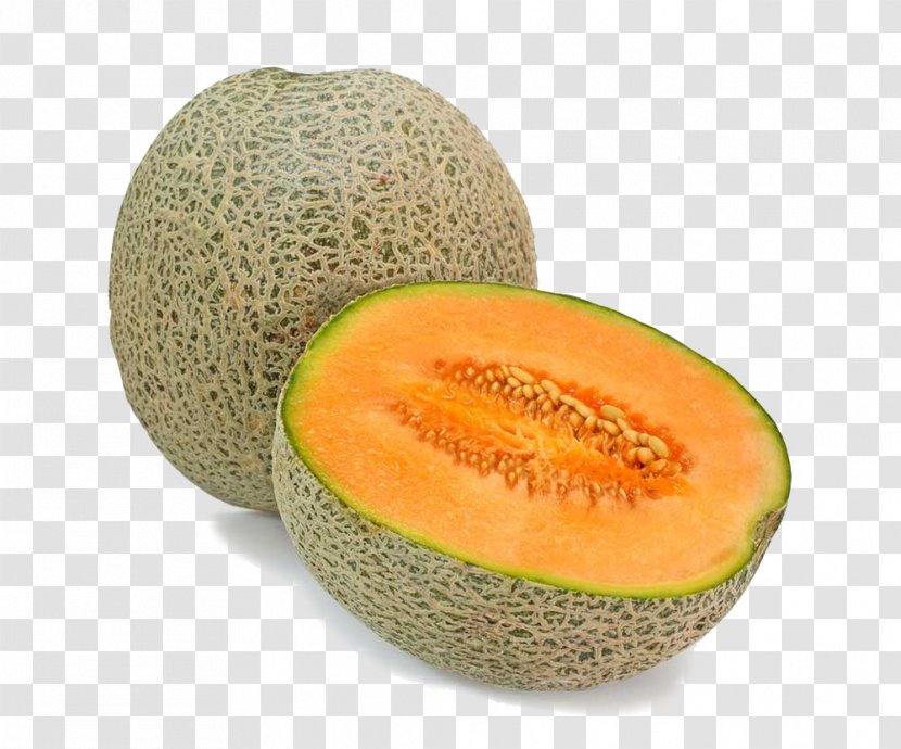 Cantaloupe Organic Food Melon Fruit Honeydew Transparent PNG