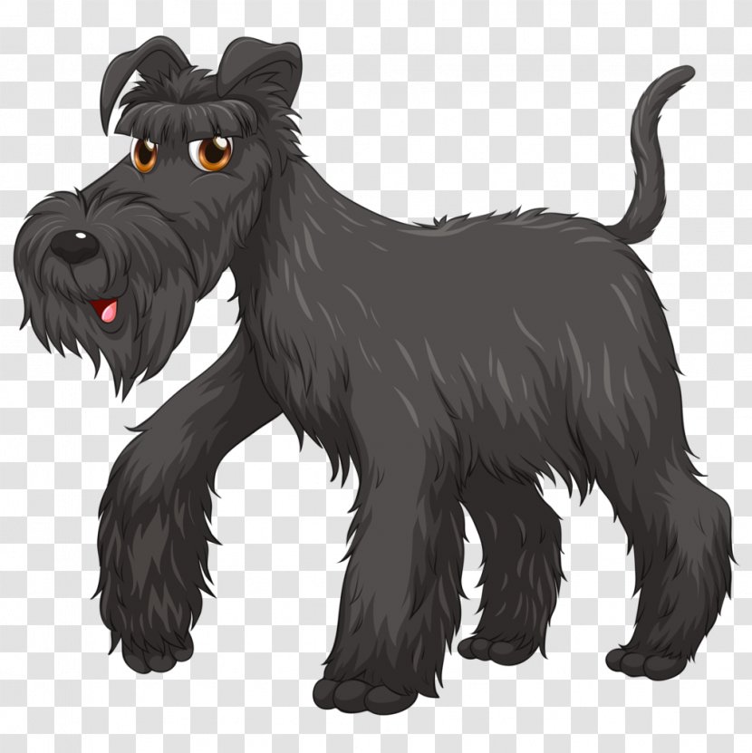 Miniature Schnauzer Scottish Terrier Cairn Giant Standard - Black - Dog Pattern Transparent PNG