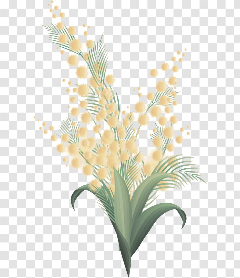 Plant Flower Flowering Leaf Grass - Stem Houseplant Transparent PNG