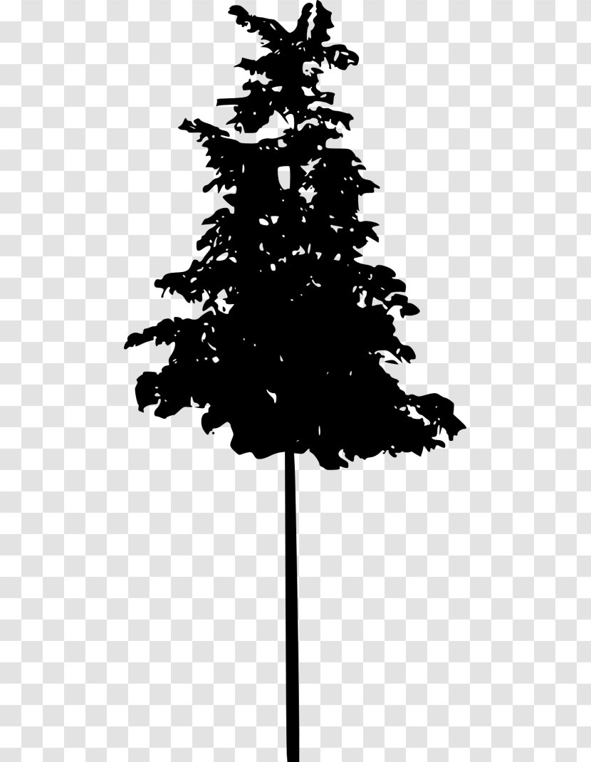 Spruce Fir Pine Silhouette Black And White Transparent PNG