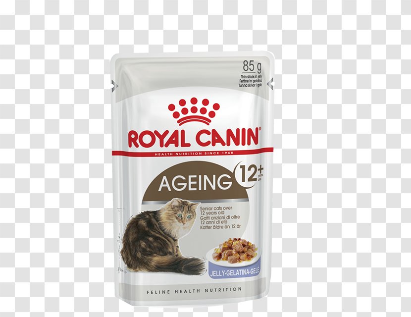 Cat Food Dog Kitten Royal Canin - Health Transparent PNG