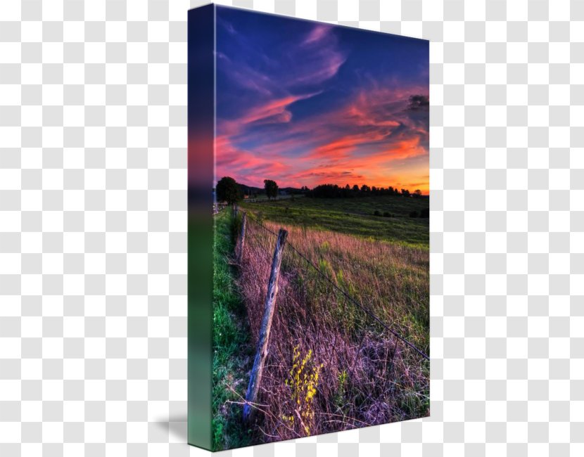 Green Summit Cemetery Gallery Wrap Ecoregion Canvas Art - Sky Transparent PNG