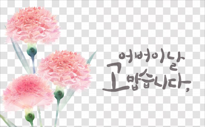 Carnation Flower Download - Pink - Delicate Floral Carnations Psd Transparent PNG
