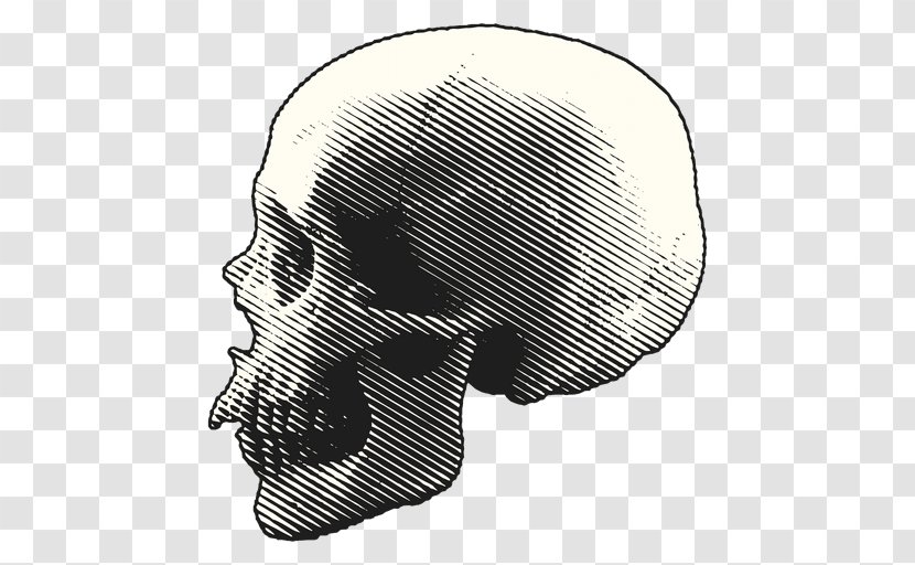 Skull - Forehead - Vexel Transparent PNG