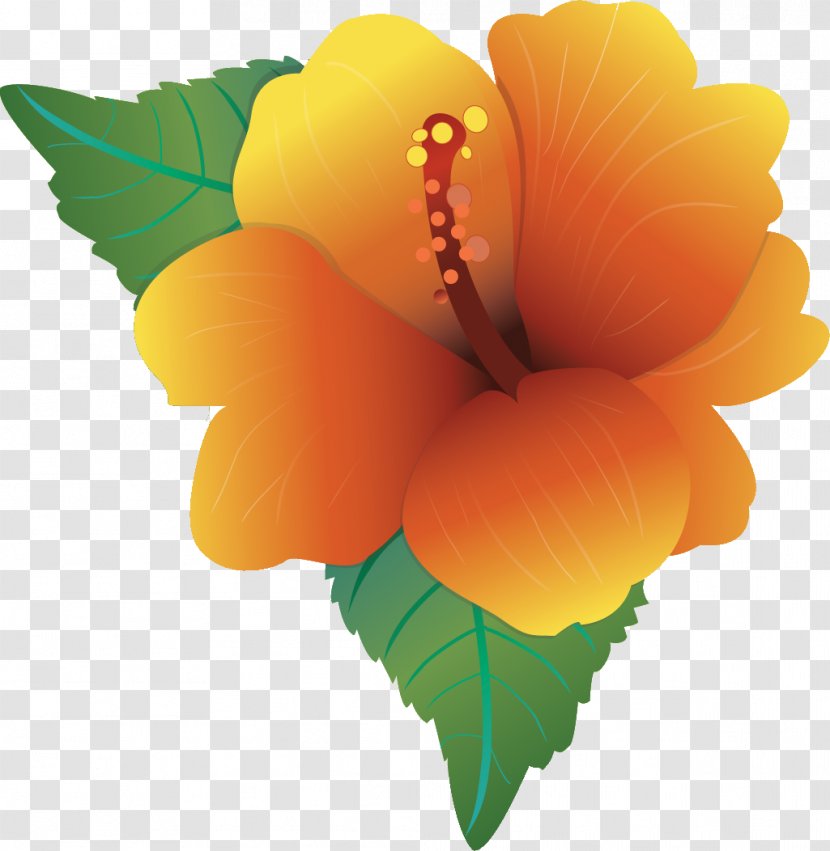 Hawaiian Hibiscus Flower Clip Art - Petal Transparent PNG