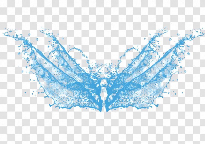 Blue Water Wings - Concepteur - Text Transparent PNG