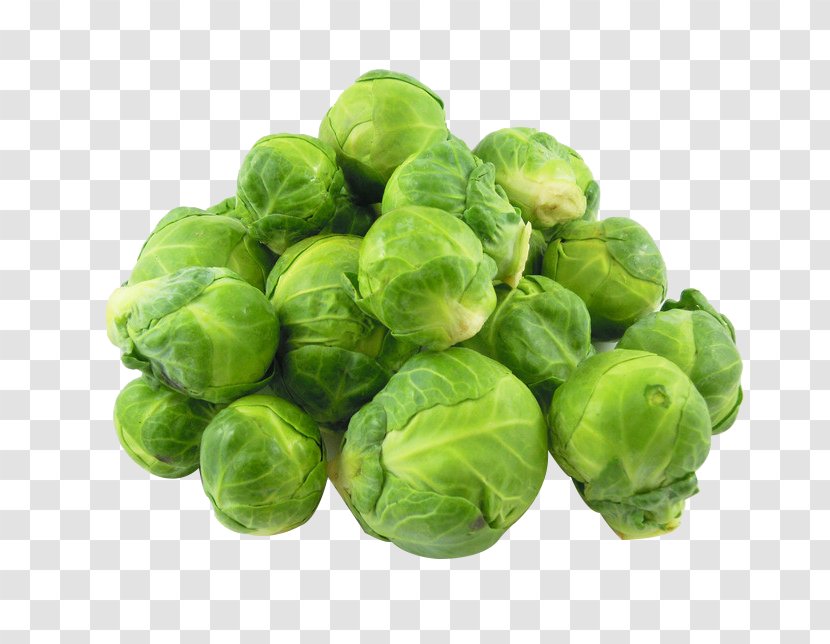 Brussels Sprout Red Cabbage Broccoli Cauliflower - Shoot - Picture Material Transparent PNG