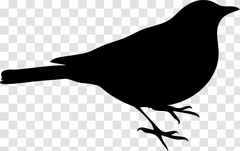 Clip Art Owl Bird Image Vector Graphics - Crow - Blackbird Transparent PNG