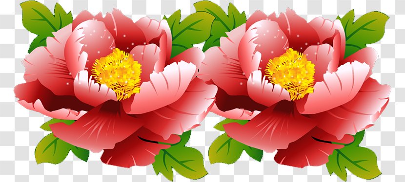 Peony Floral Design Cut Flowers Herbaceous Plant Petal Transparent PNG