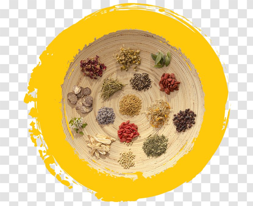 Traditional Chinese Medicine Herb China Health - Food Transparent PNG