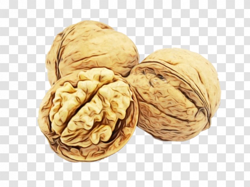 Walnut Nut Nuts & Seeds Food Plant - Ingredient Transparent PNG