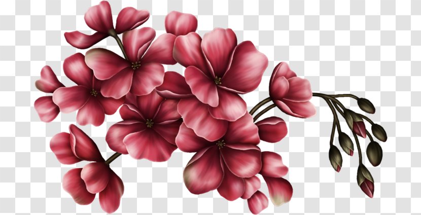 Cut Flowers Floral Design Art - Lilac - Flower Transparent PNG