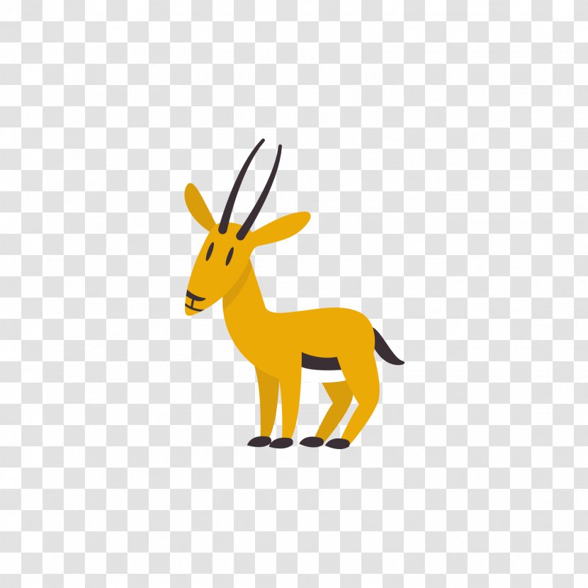 Antelope - Deer - Yellow Gazelle Transparent PNG