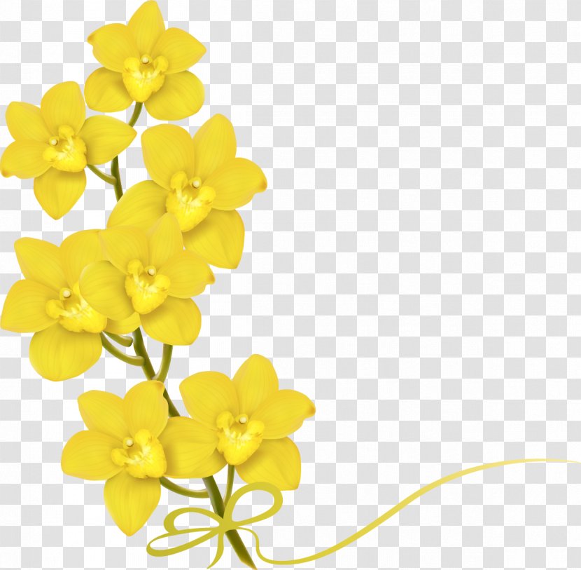 Flower Yellow Stock Photography Euclidean Vector - Flowering Plant - A Bouquet Of Flowers Transparent PNG