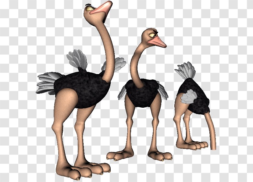 Common Ostrich Cartoon Drawing Clip Art - Flightless Bird Transparent PNG