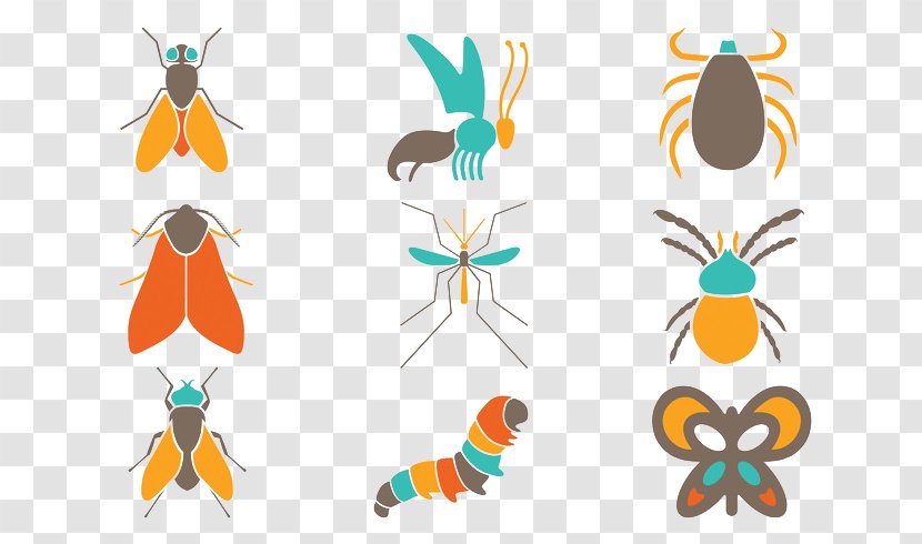 Beetle Butterfly Bugs Attack Free Clip Art - Animal - Colorful Insect Transparent PNG