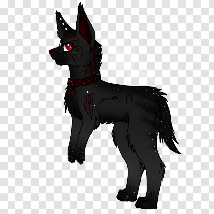 Schipperke Dog Breed Razas Nativas Vulnerables Fur - Flower - Starlight Stars Of Tomorrow Transparent PNG