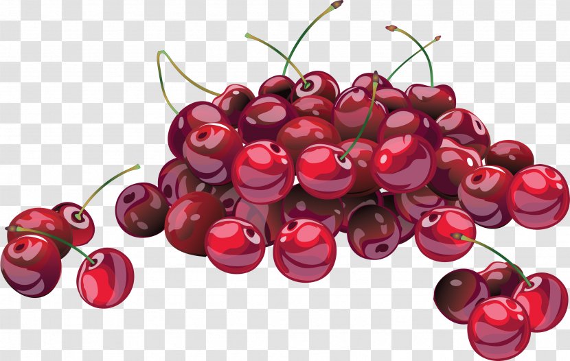 Juice Cherry Fruit Clip Art - Sour - Red Image Download Transparent PNG