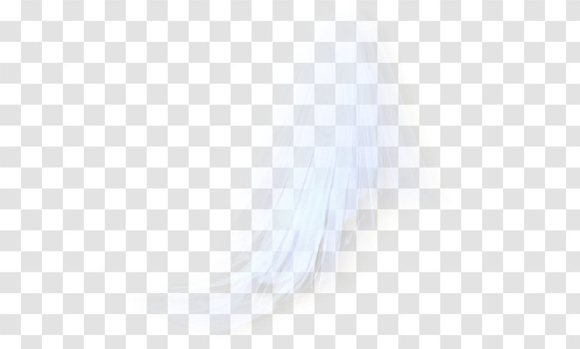 Close-up Eyelash Feather - Veiled Transparent PNG