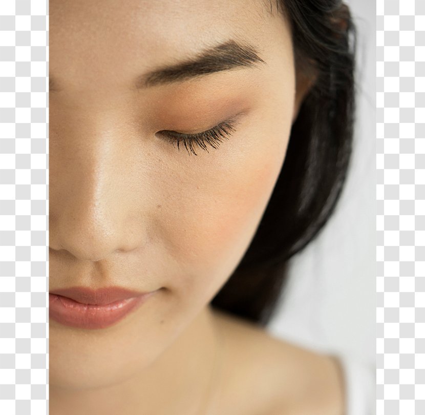 Eye Shadow Eyelash Extensions Beauty Liner - Powder Transparent PNG