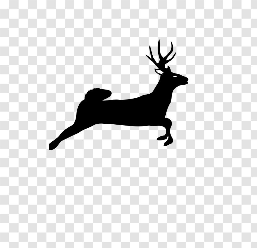 White-tailed Deer Red Clip Art - Antler Transparent PNG