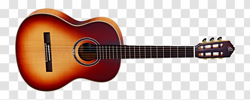 Guitar Amplifier Steel-string Acoustic Ibanez - Flower - Amancio Ortega Transparent PNG