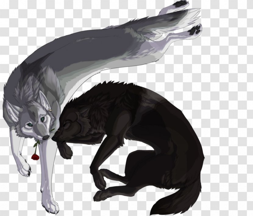 Gray Wolf Cat Black DeviantArt Fur Transparent PNG