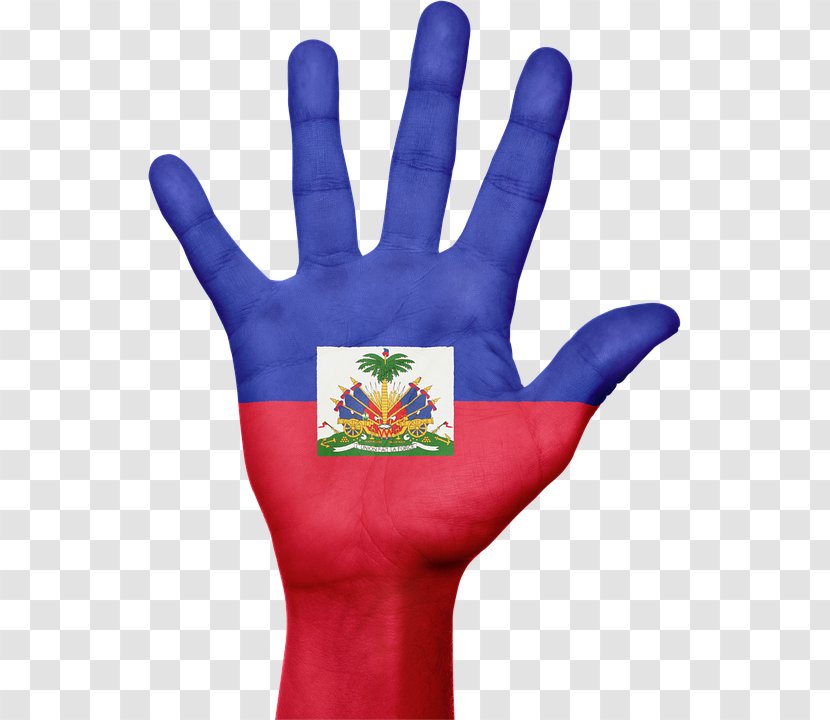 Flag Of Haiti 2010 Earthquake Port-au-Prince Haitian Creole - Thumb - Coin Vector Transparent PNG