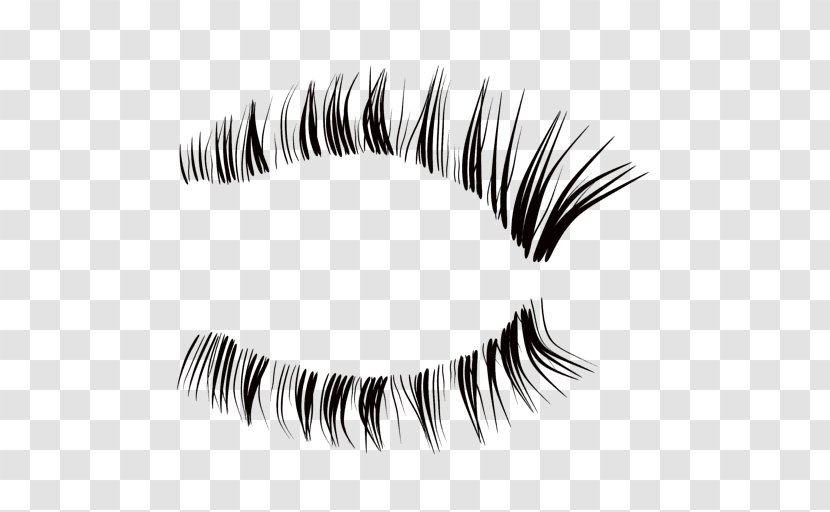 Eyelash Extensions Eyebrow Cosmetics - Flower - Eyelashes Transparent PNG