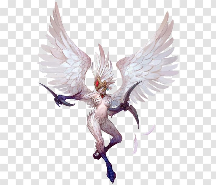 Dragon Nest Harpy Model Sheet Character - Bird - Dungeons And Dragons Transparent PNG